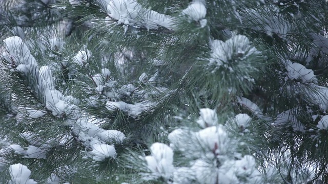 暴风雪视频素材