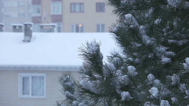 暴风雪视频下载