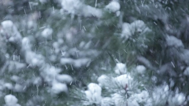 暴风雪视频下载