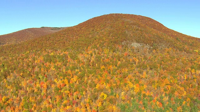 美国佛蒙特州山区的带有秋天色彩的林地鸟瞰图视频素材