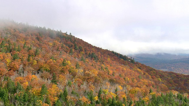 空中潘子在Nat Forest / New Hampshire，美国，白山上空的雾视图视频素材