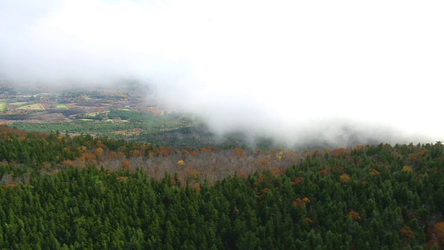 MS AERIAL PAN视图在Nat Forest / New Hampshire，美国白山上空的云视频素材