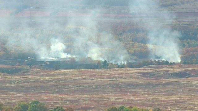 WS arial ZI ZO View of Smoke of burning blueberry fields /缅因州，美国视频素材