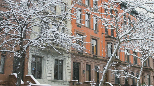 TS褐石屋在下雪的街道上-雪吹落树在前景/布鲁克林，纽约，美国视频素材