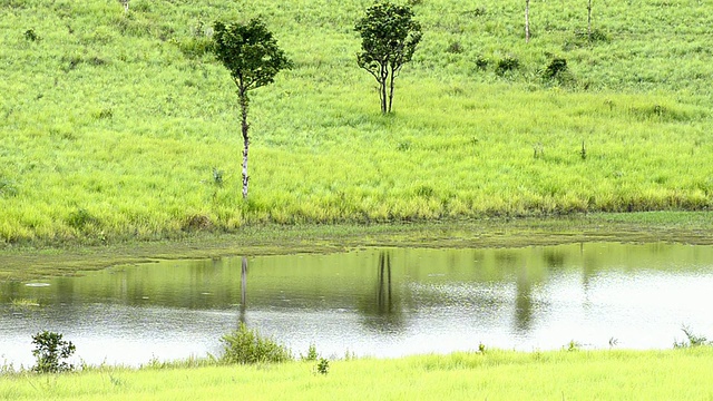 泻湖视频素材