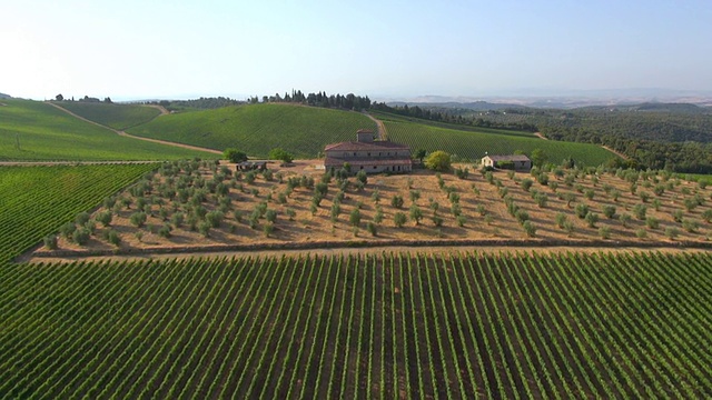 基安蒂葡萄园和传统的托斯卡纳乡村别墅在Castello di Brolio /锡耶纳，托斯卡纳，意大利视频素材