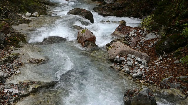 MS TU Wild river流经Wimbach-Klamm峡谷/ Berchtesgaden, Bavaria, Germany视频素材