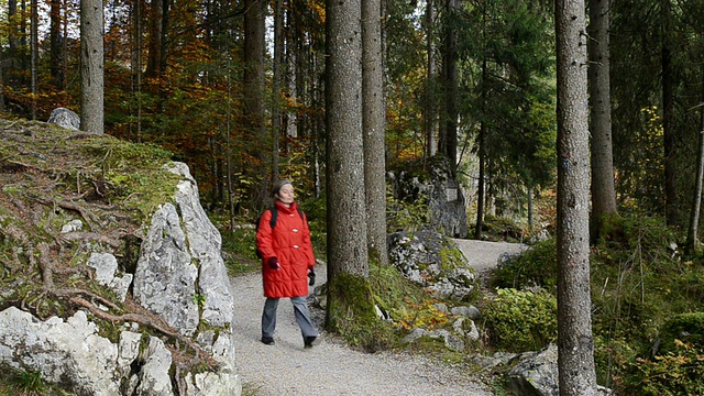 德国巴伐利亚州Zauberwald / Berchtesgaden森林中的女士视频素材