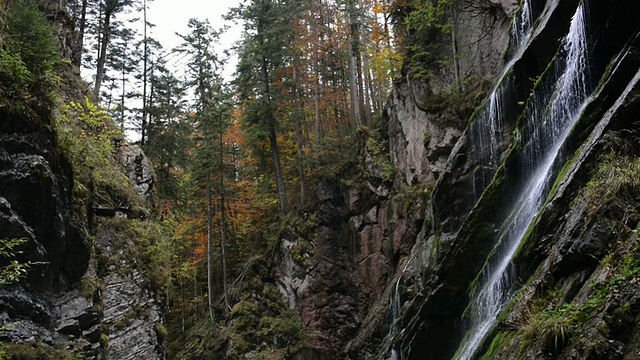 德国巴伐利亚州Wimbach-Klamm / Berchtesgaden峡谷的水从山上流下流入野生河流视频素材