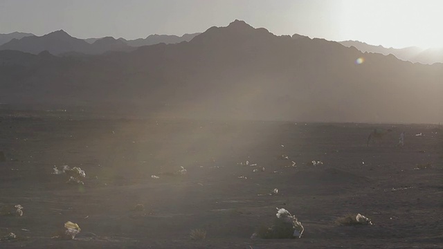 西奈沙漠靠近达哈卜，单峰骆驼和当地的骆驼车夫在远处行走视频素材