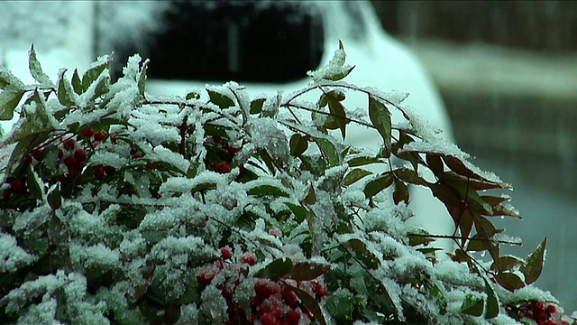 第二天雪视频下载