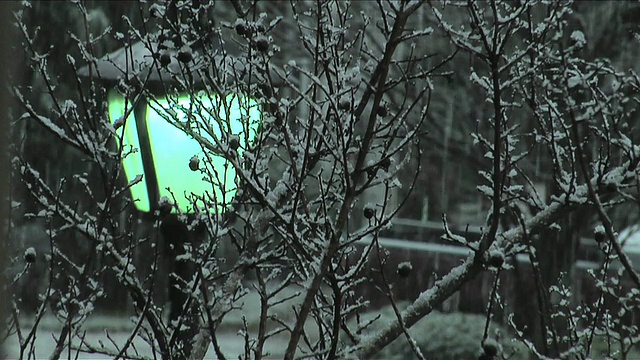 雪天-灯笼和结霜的树枝视频下载