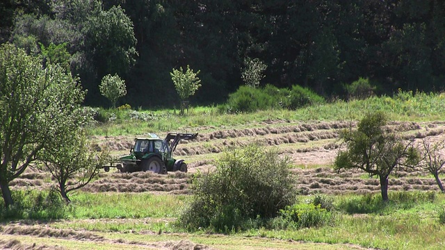 MS Shot of haymaking / Saarburg，莱茵兰-普法尔茨，德国视频素材