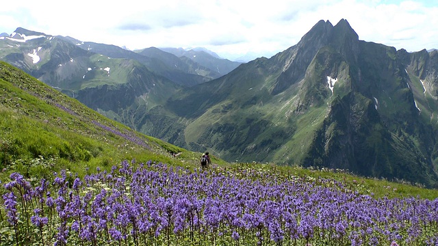 从Laufacher Eck到Hofats山附近的阿尔高阿尔卑斯山/ Oberstdorf，德国巴伐利亚州视频素材