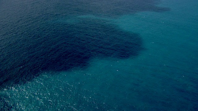 WS AERIAL TU View of ocean / Kings Cliff，新南威尔士州，澳大利亚视频素材