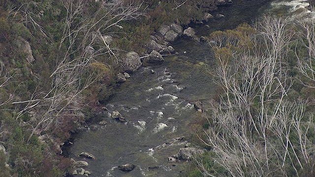 MS View of river / Kings Cliff，新南威尔士，澳大利亚视频素材