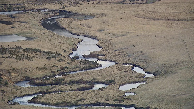 MS AERIAL ZI View of river / Kings Cliff，新南威尔士州，澳大利亚视频素材