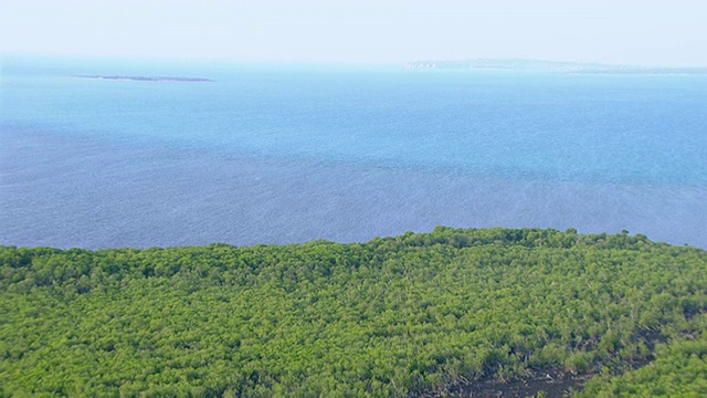 海岸和森林的WS鸟瞰图/达尔文，北领地，澳大利亚视频素材