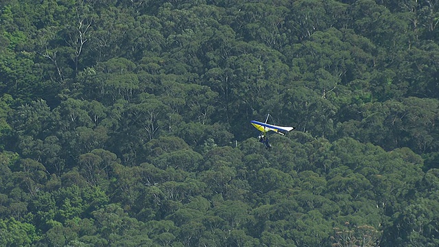 WS AERIAL ZI TS在海岸/ Stanwell公园上的滑翔伞视图，悉尼新南威尔士，澳大利亚视频素材