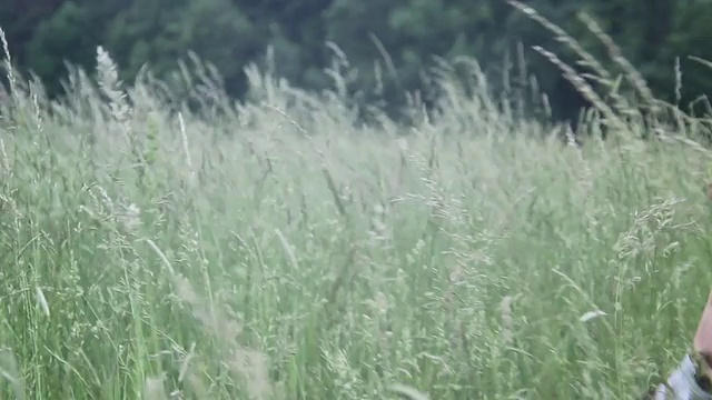 高草和一个女人奔跑的细节。-模型发布- 1920x1080 -高清视频素材