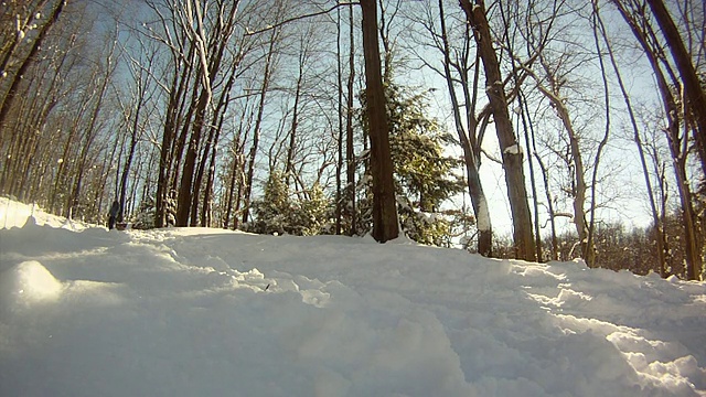 一个年轻人在冬天用滑雪板穿过树林和跳跃。-模型发布-高清视频素材