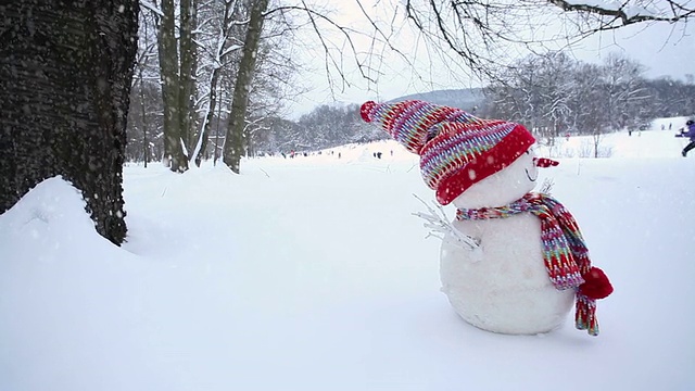 冬季景观中的雪人视频素材