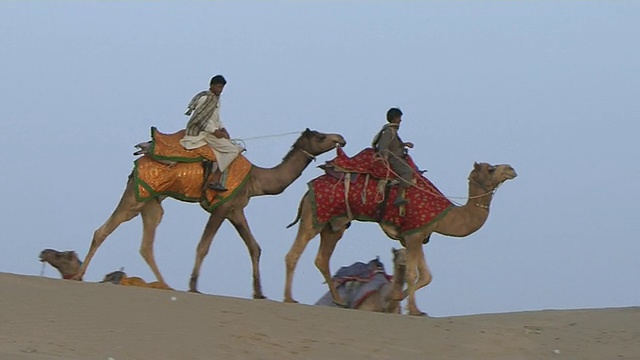 潘右拍沙漠骆驼骑Jaisalmer印度拉贾斯坦邦视频素材