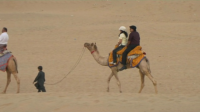 印度拉贾斯坦邦Jaisalmer沙漠骆驼骑视频素材