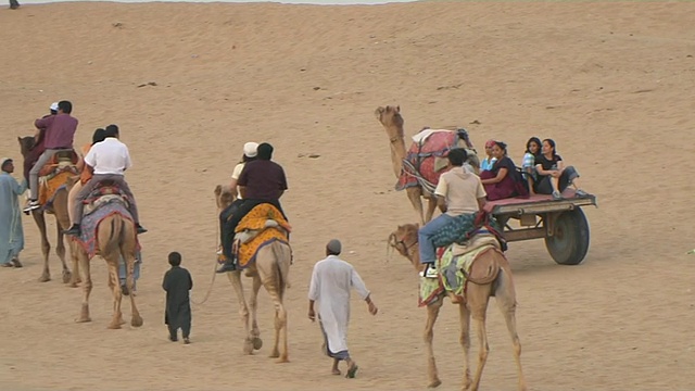 潘左击沙漠骆驼骑Jaisalmer印度拉贾斯坦邦视频素材