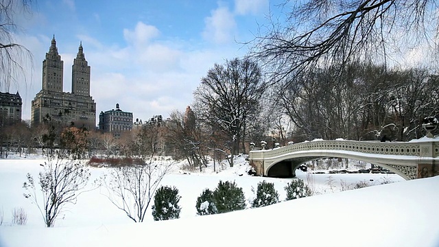 中央公园的雪景视频素材