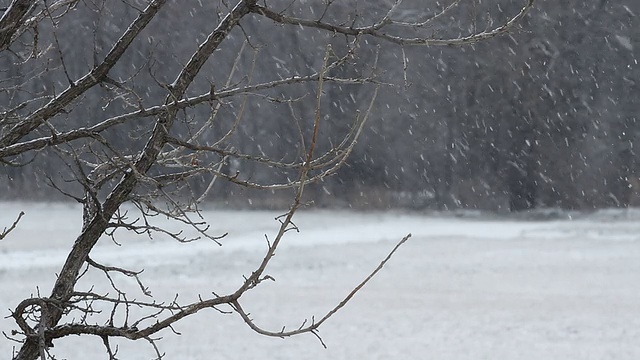 堪萨斯州雪花HD1080视频素材