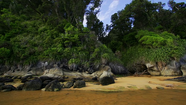 热带海滩视频素材