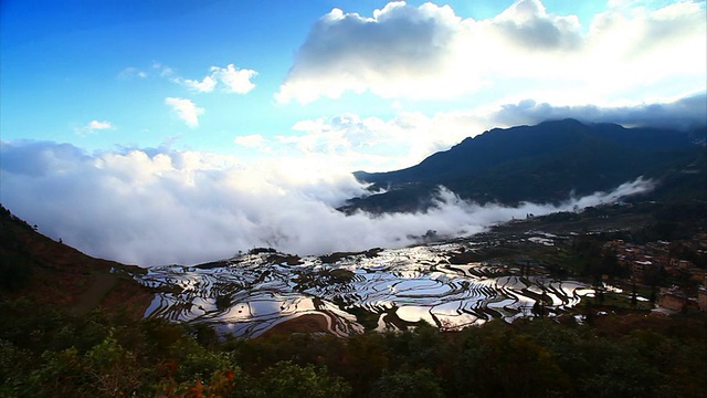 元阳梯田视频素材