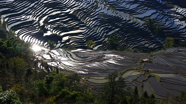 元阳梯田视频素材