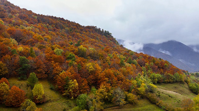 Fuentes del Narcea自然公园，Degana, Asturias，西班牙，欧洲视频素材