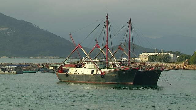 中景，中国香港，广东，洲海港视频素材