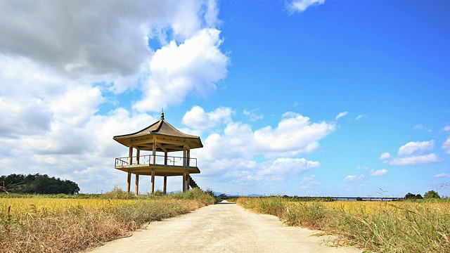 WS T/L Wondumak(瞭望小屋)稻田/济州岛，韩国视频素材