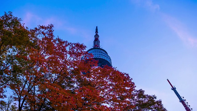 韩国首尔T/L N塔台视频素材