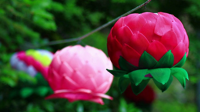 韩国仁川忠阁寺的CU莲花灯视频素材