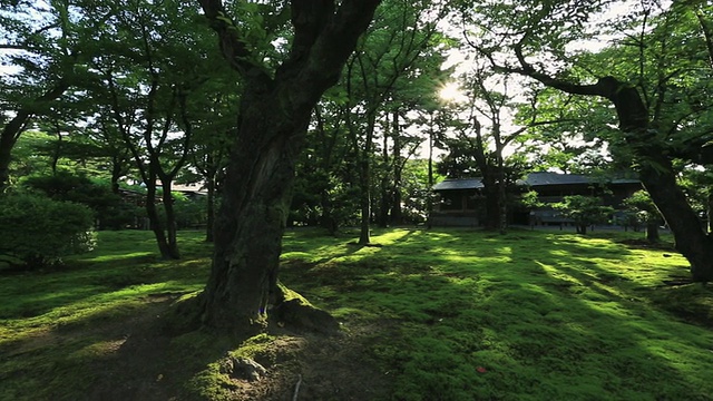 日本石川金泽花园的景观视频素材