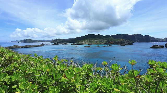 从南岛(Minami jima island) /小笠原群岛(Ogasawara Islands)，东京，日本视频素材