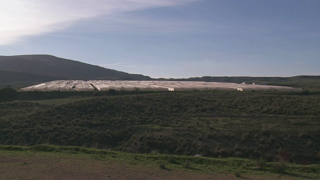 西班牙安达卢西亚Cabo de Gata / Nijar温室番茄栽培的WS观点视频素材