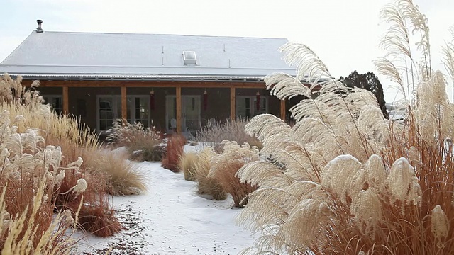 潘小姐拍摄的屋外下雪/美国新墨西哥州拉米视频素材