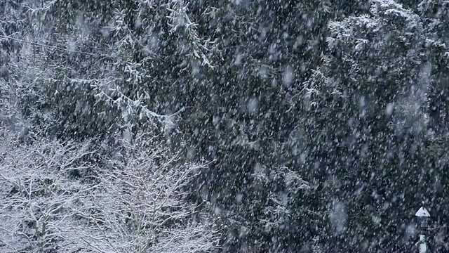 美国新泽西州高桥，雪落在树上和乡下的房子上视频素材