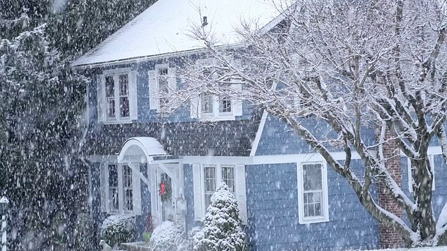 雪落在树上和乡下的房子/高桥，新泽西，美国视频素材