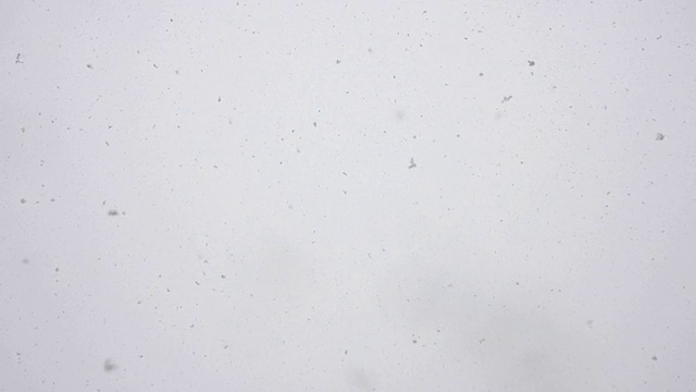 雪花落在相机上视频素材