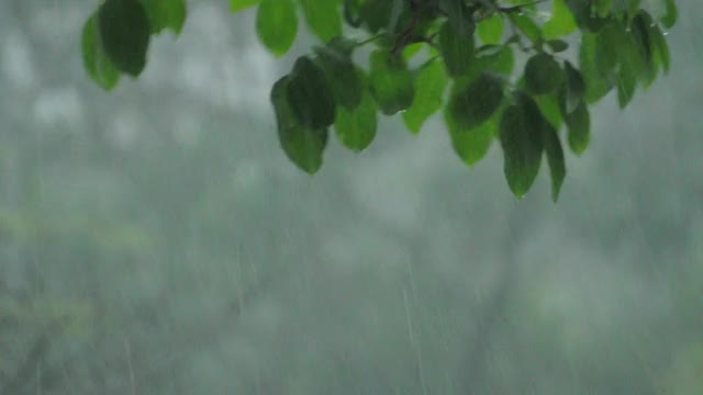 大雨视频素材