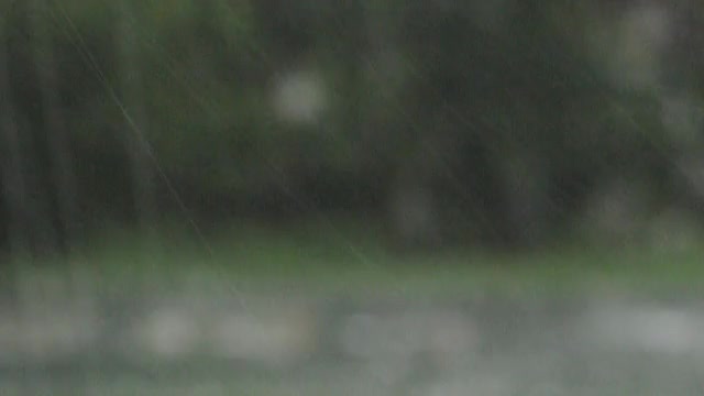 大雨视频素材