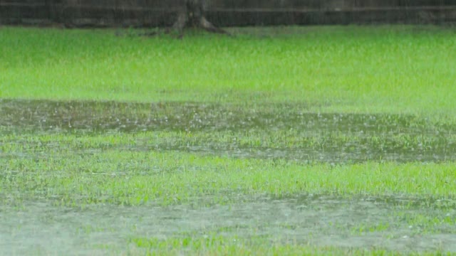 下雨视频下载