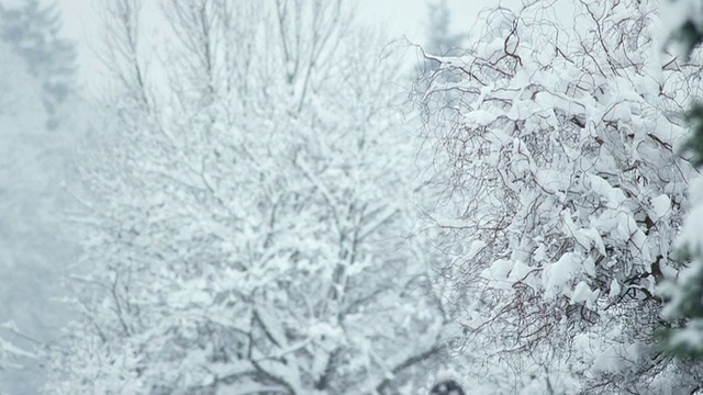 HD:正在铲雪的中年人视频素材